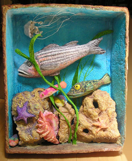 Bass Fish Aquariam
