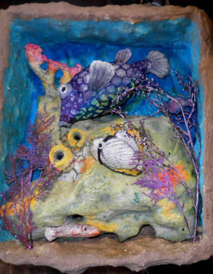 Box Fish Aquarium Box Fish Aquarium