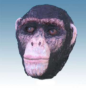 Chimp