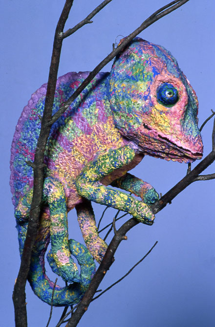 Lizard Lizard