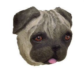 Pug