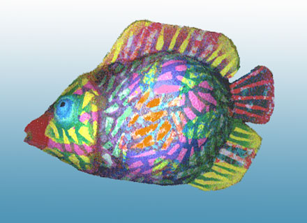 Sun Fish Sun Fish