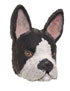 Boston Terrier