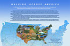 Newton Wellesley Hospital, Map Design Poster